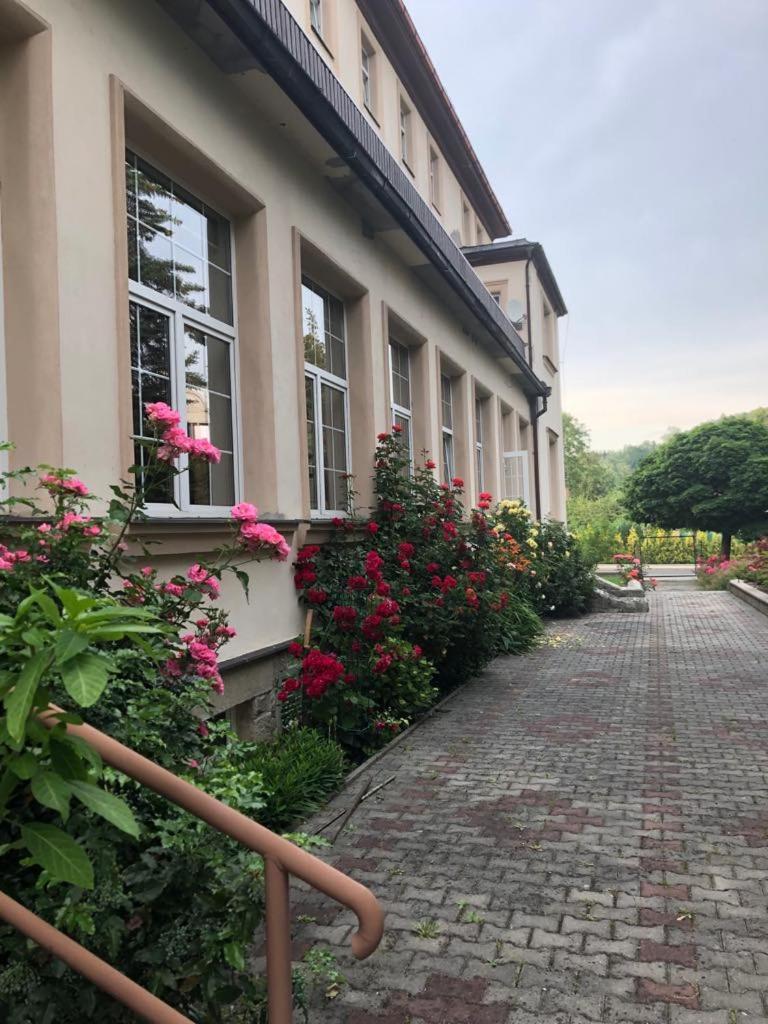 Grandhotel Nový Bor Εξωτερικό φωτογραφία